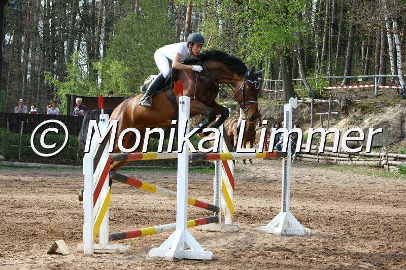 203M7206_Upper Class_Spring_Mx.JPG